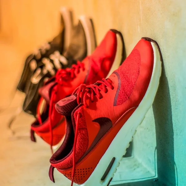 Terra Runners